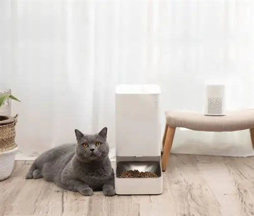 Xiaomi lança seu alimentador e bebedouro inteligente para cães e gatos - Xiaomi Smart Feeder Features