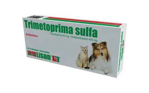 Septrin pediátrica para cães - Dosagem e para que serve - O que é septrin pediátrica?